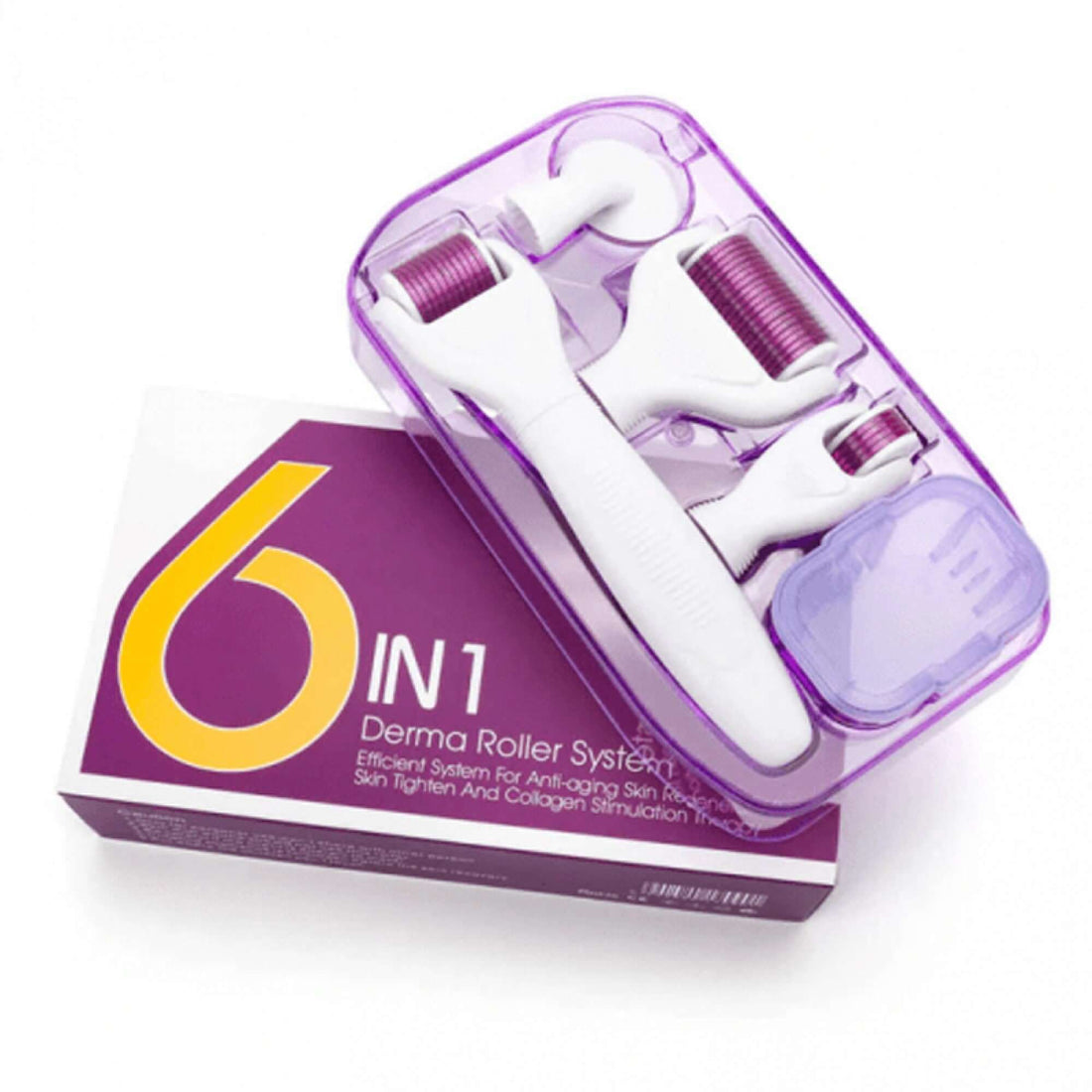 6 in 1 Derma Roller System