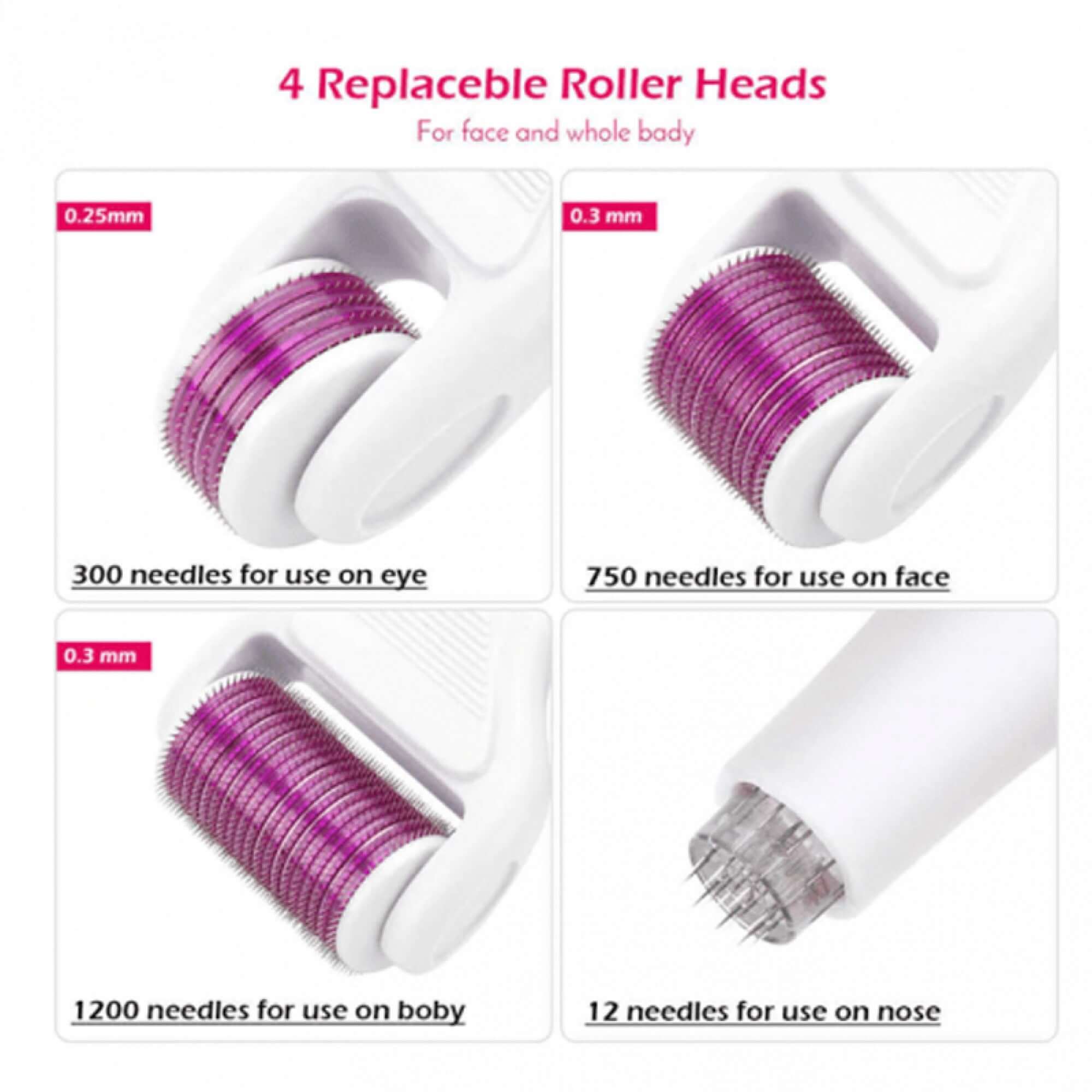 6 in 1 Derma Roller System