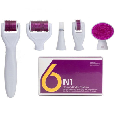6 in 1 Derma Roller System